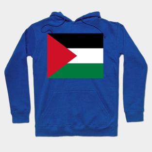 State of Palestine (Dawlat Filasṭīn)-2 Hoodie